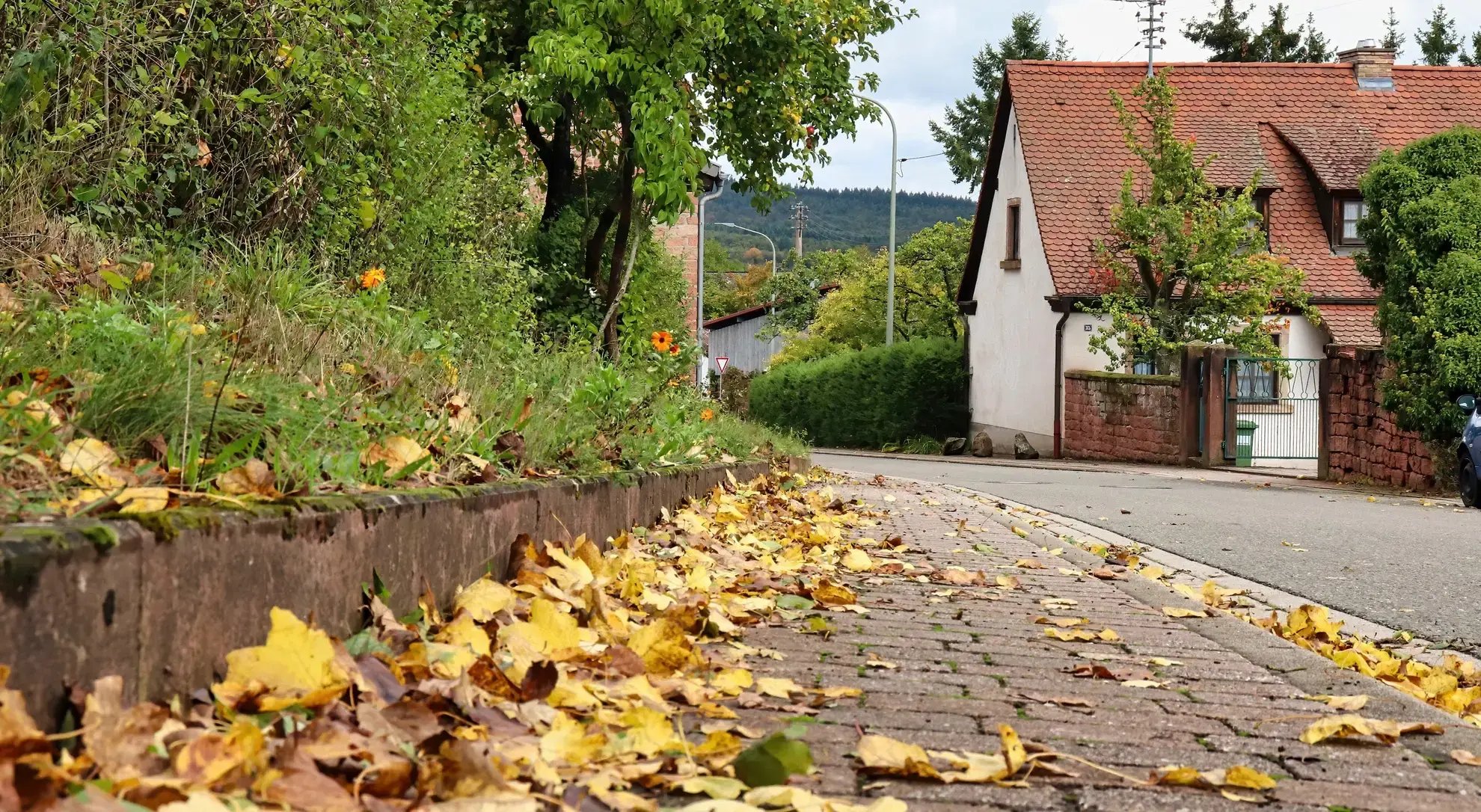 Ein mit Blättern belegter Gehsteig in einer Gemeinde