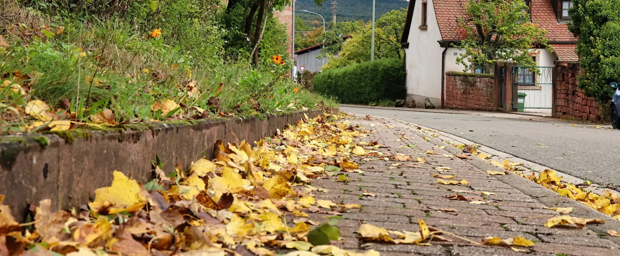 european_sidewalk